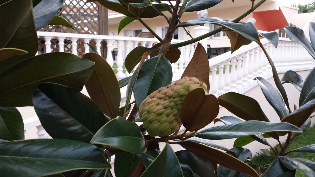 Appartamento Ammos Kalamitsi Esterno foto
